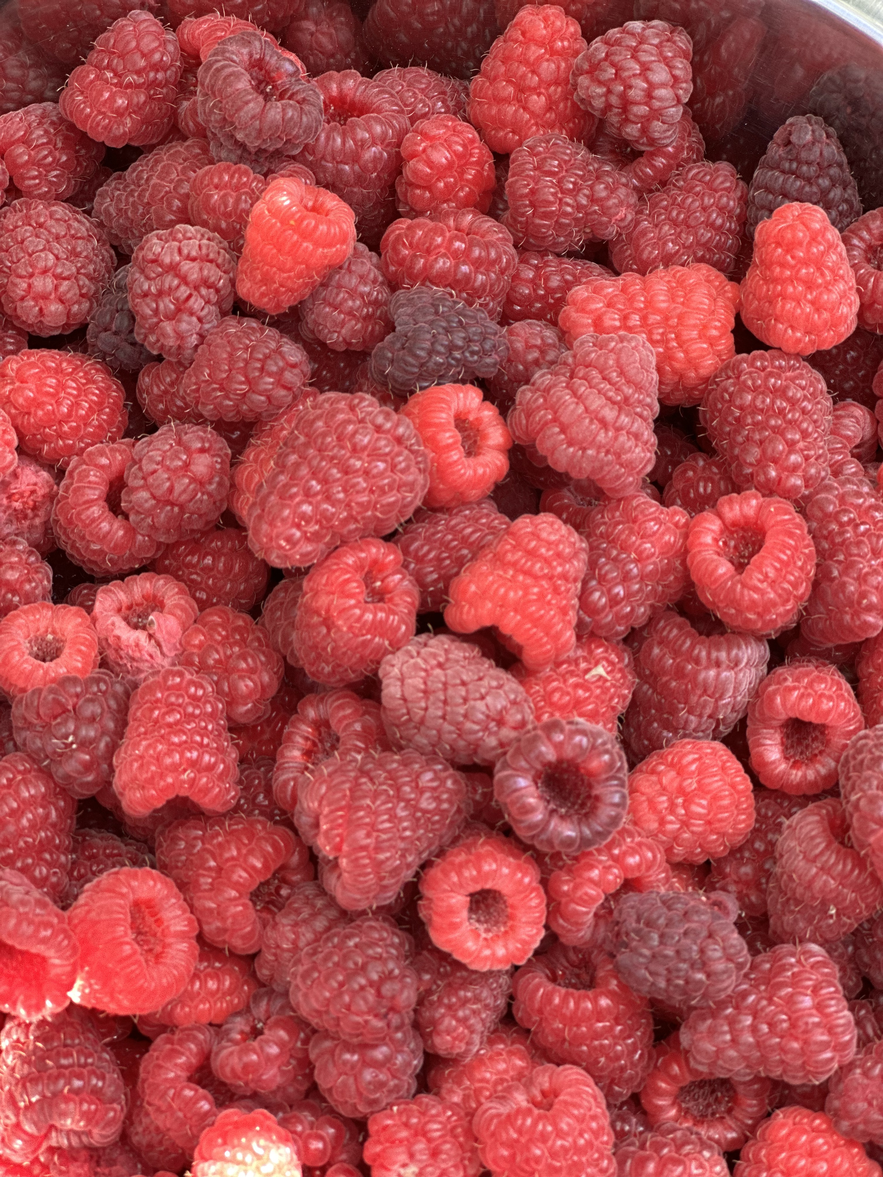 Next Year’s Berries Start Today